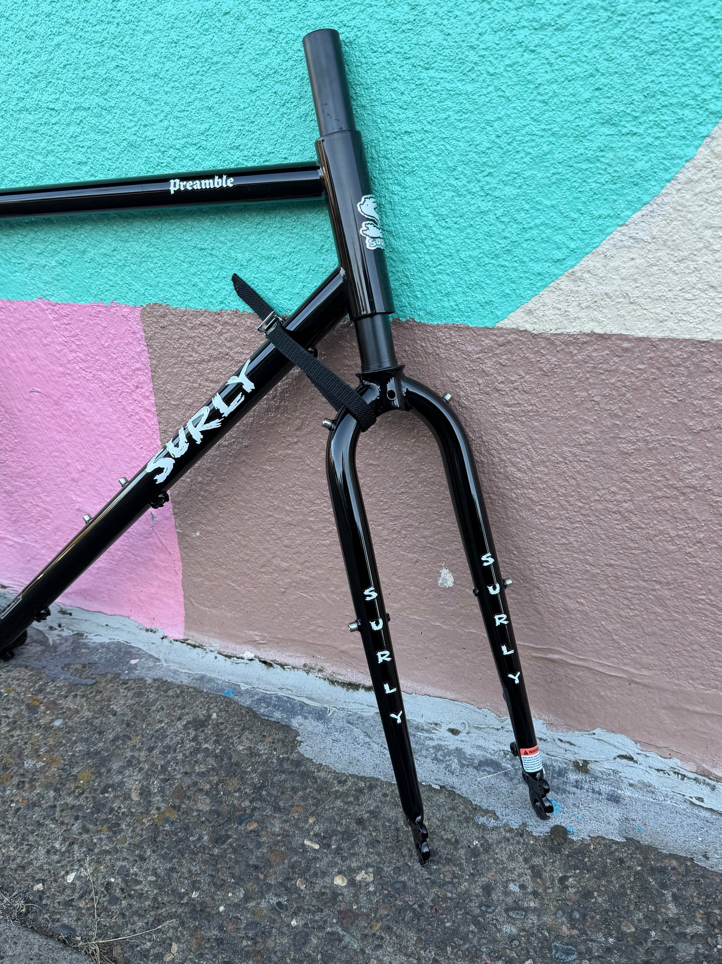 Surly Preamble frameset Custom Build