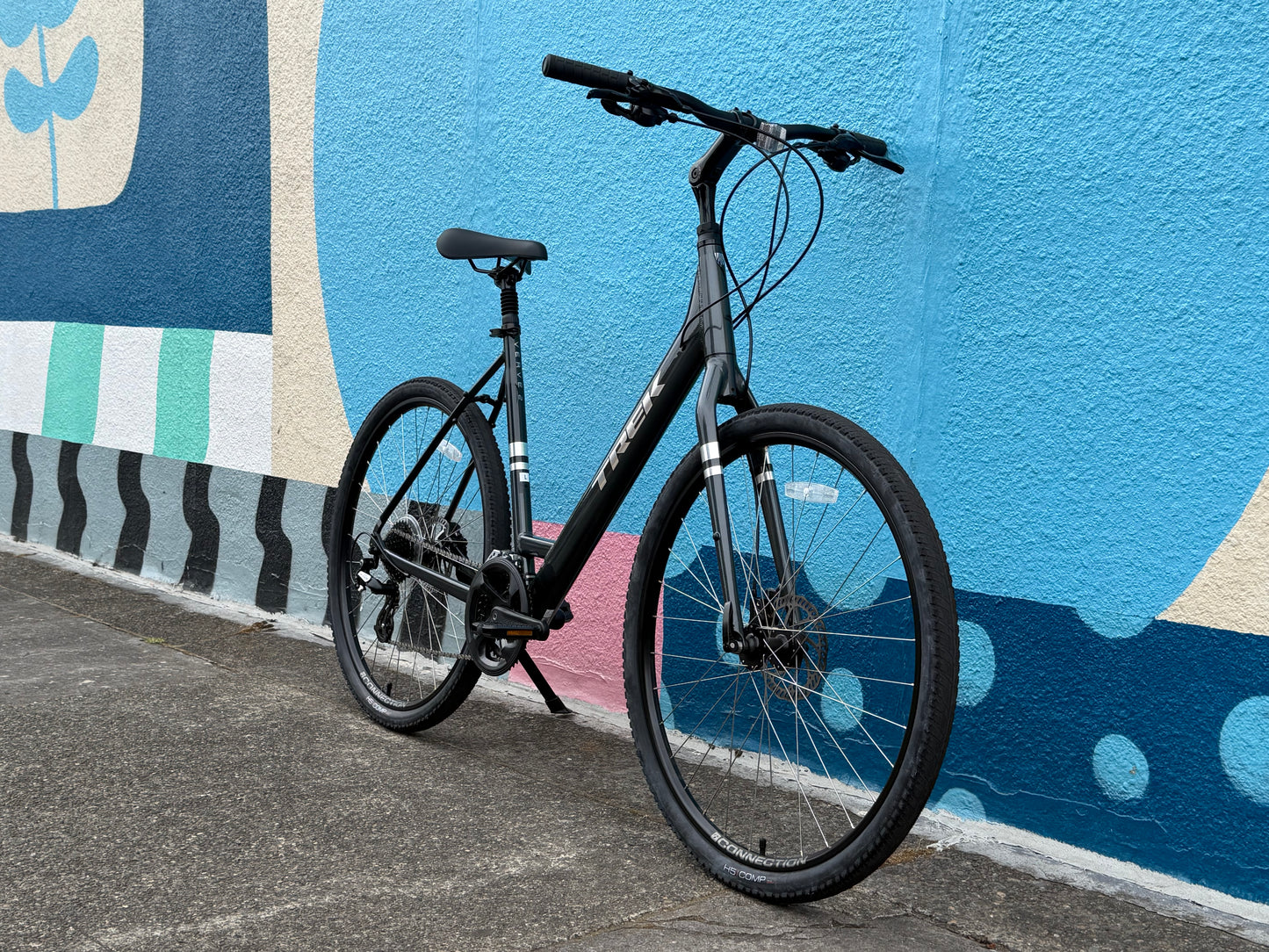 Trek Verve hybrid bike LARGE 700c wheels custom refurbished