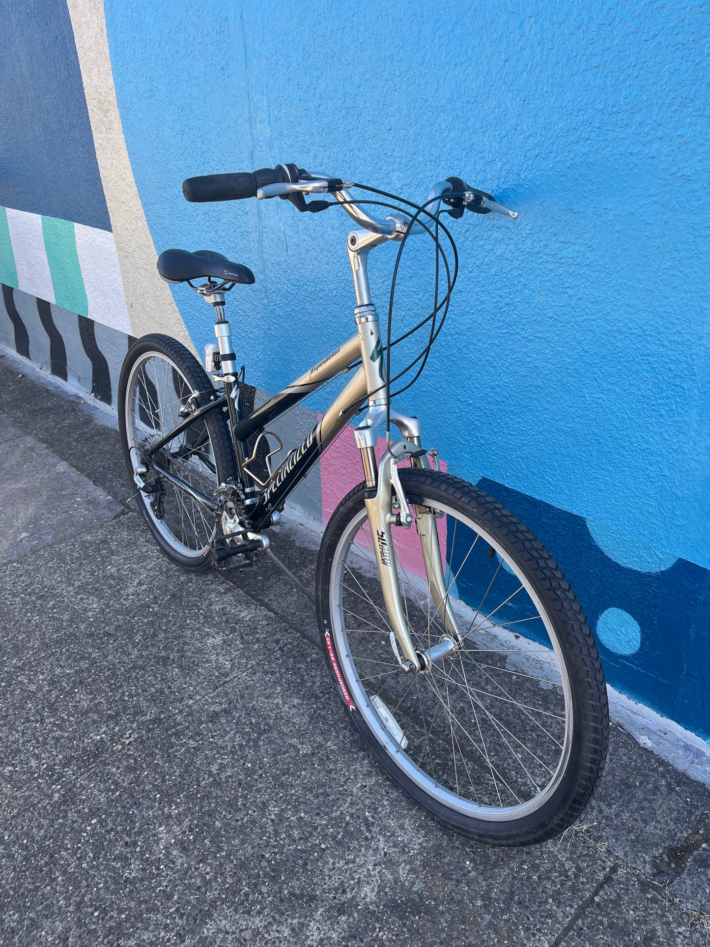 Specialized expedition step thru hybrid bike 14” small frame custom refurbished