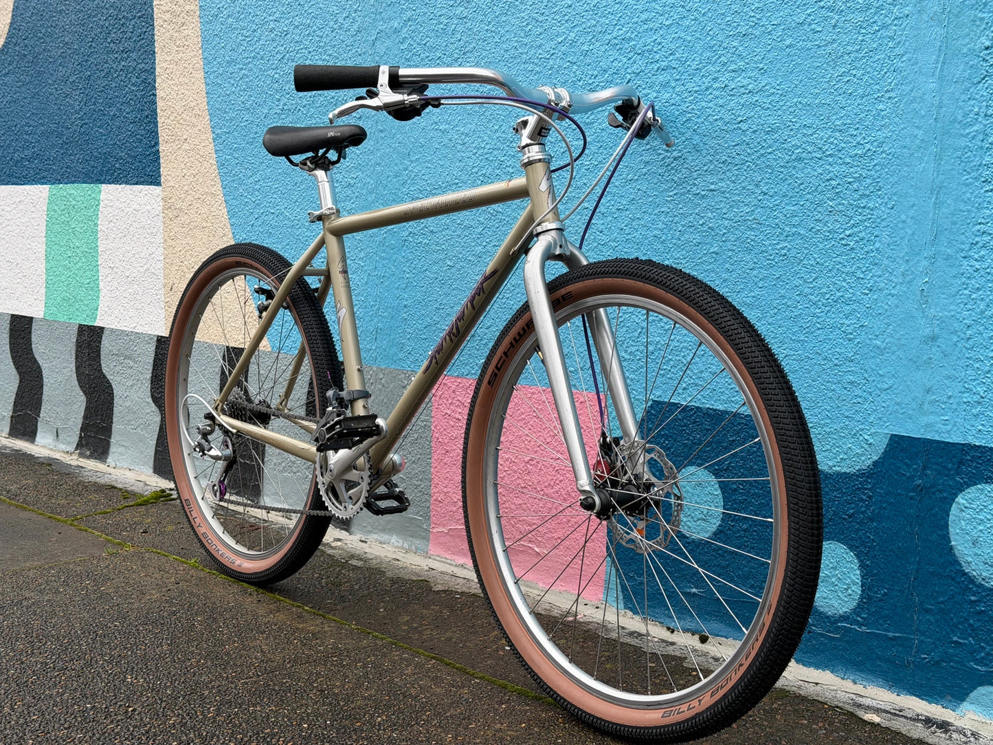 Specialized stumpjumper FS restomod bike custom refurbished 17” frame