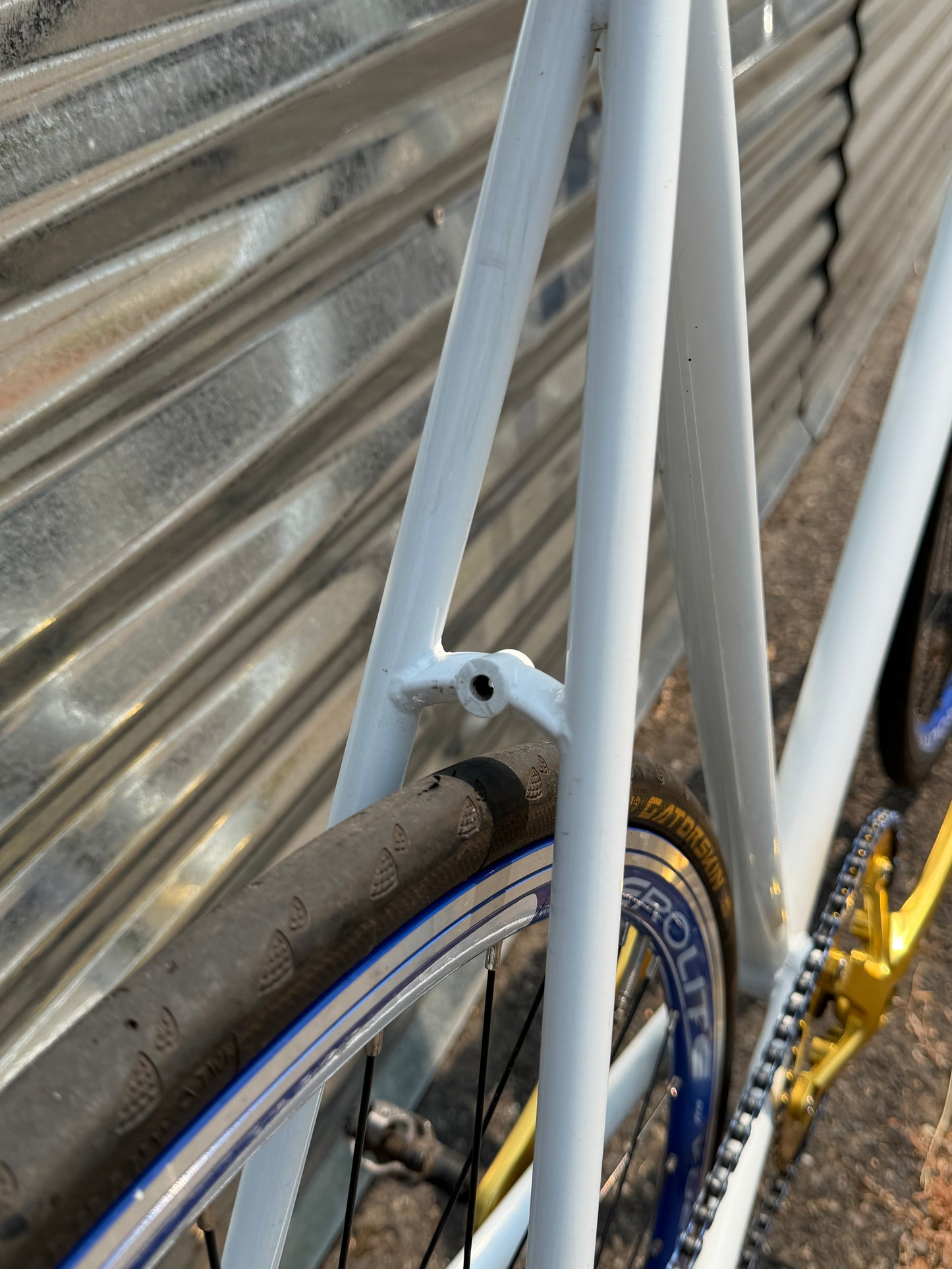 Pake fixed gear road bike 58cm white blue gold custom refurbished
