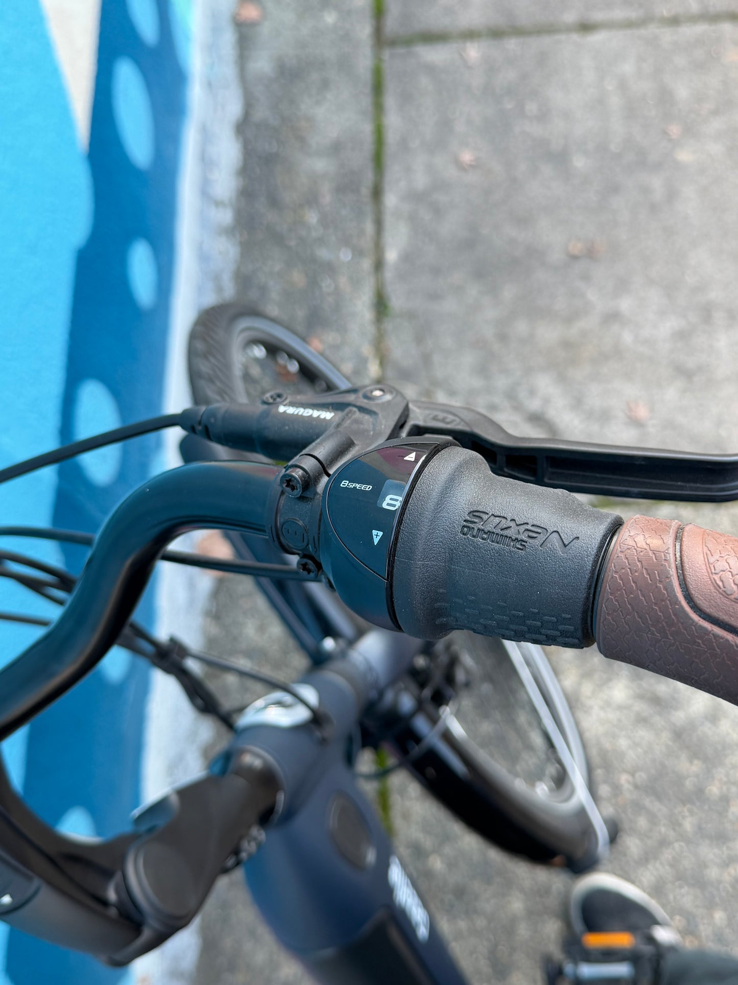 Gazelle Arroyo step thru ebike custom refurbished