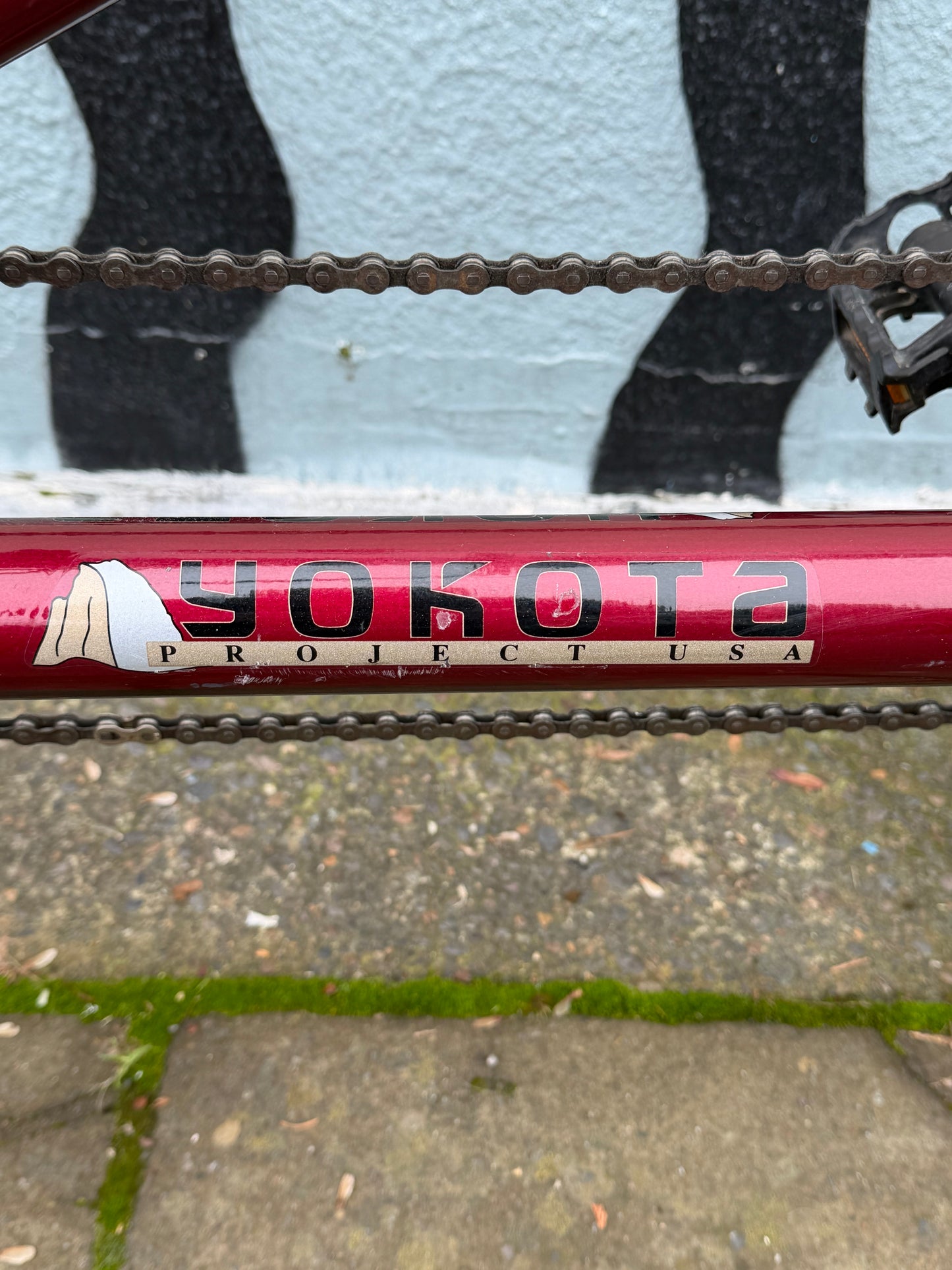 Yokota Twin Peak vintage mountain tandem bike custom refurbished 16/18”