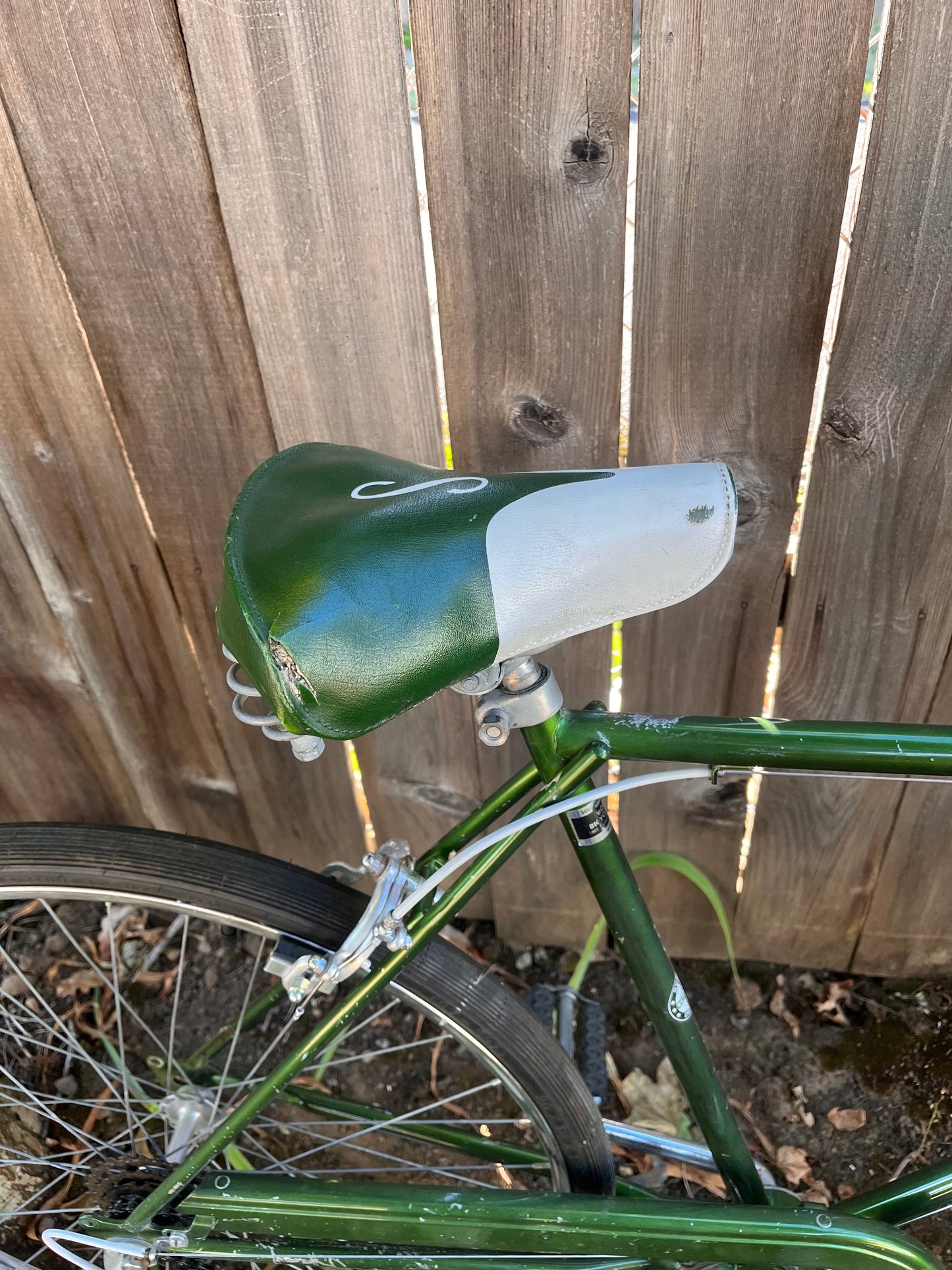 Schwinn collegiate 5 speed bike 21” frame vintage custom refurbished