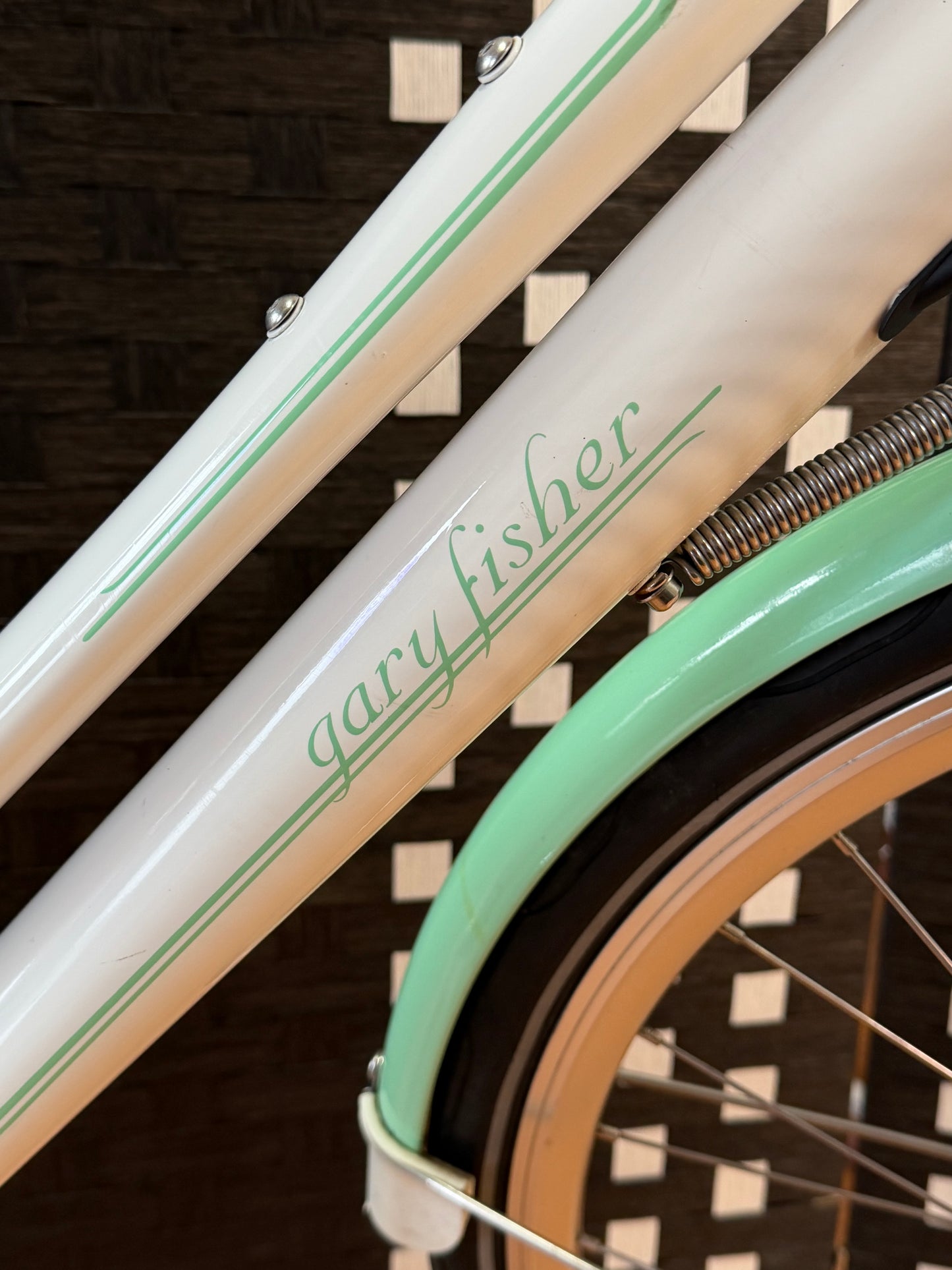 Gary Fisher Simple City Nexus 8 speed IGH 18.5" Step thru Frame Custom Refurbished