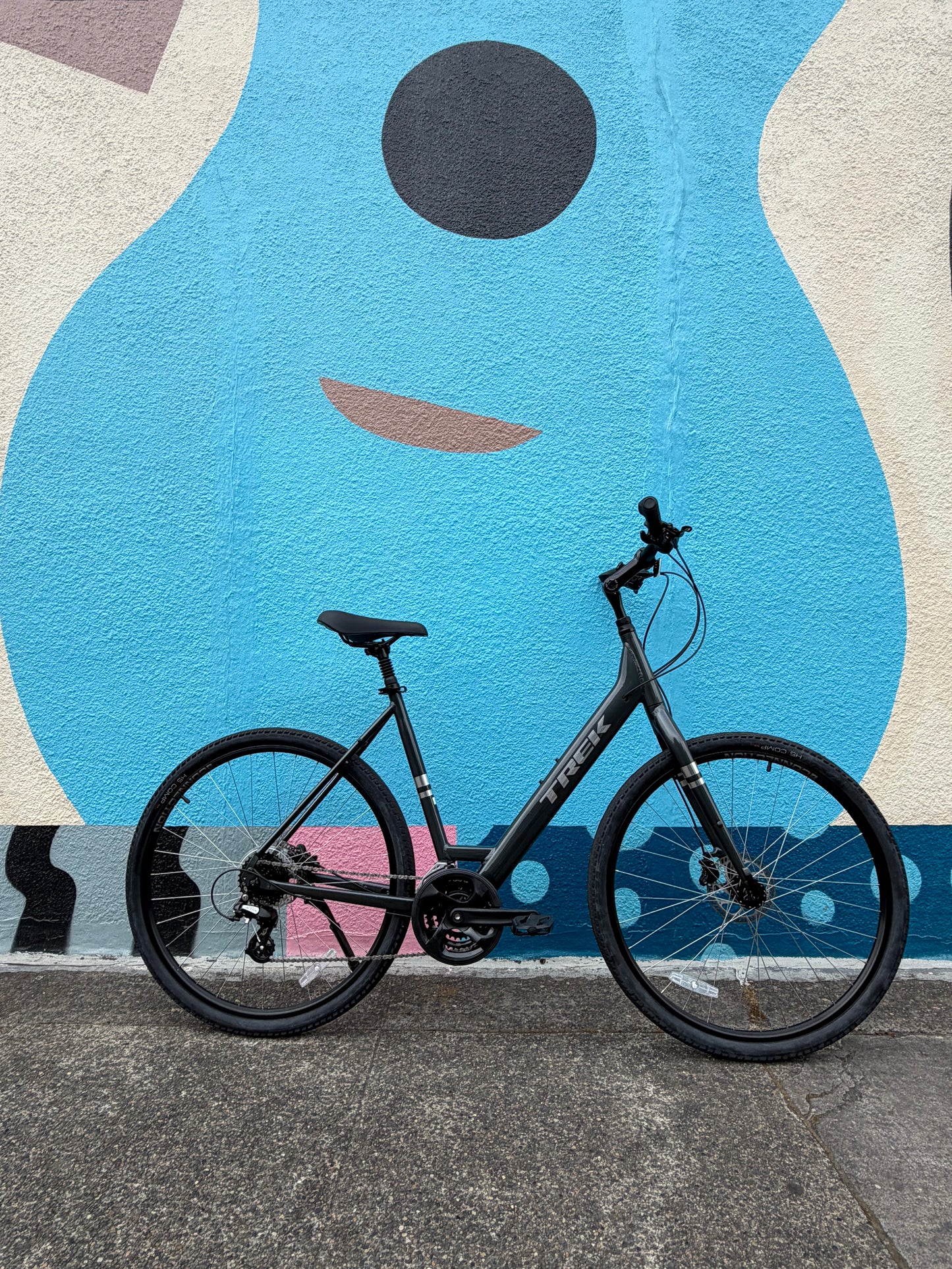 Trek Verve hybrid bike LARGE 700c wheels custom refurbished