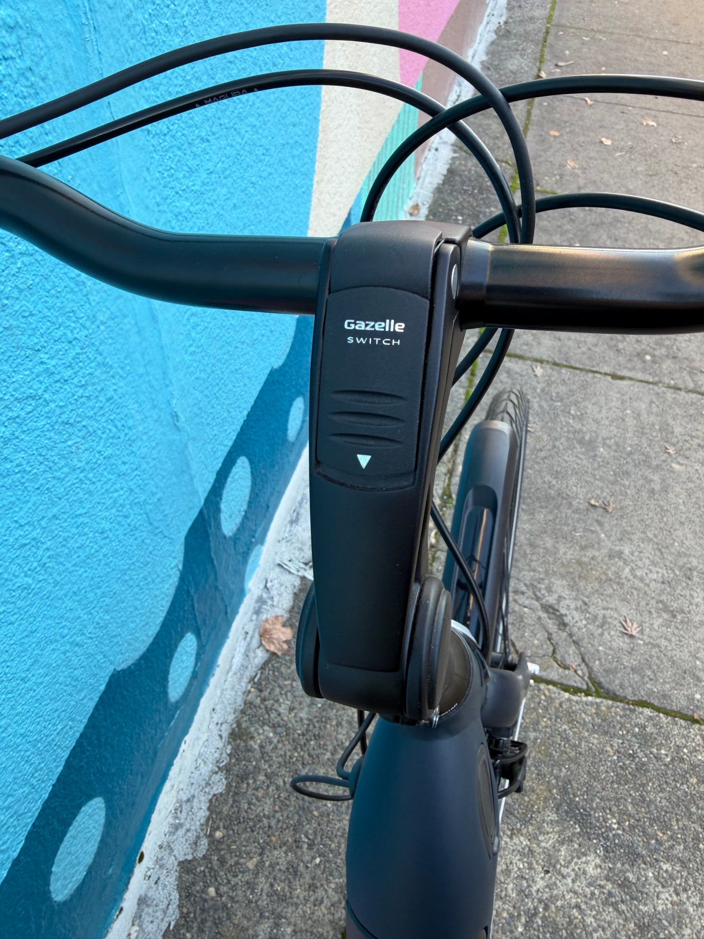 Gazelle Arroyo step thru ebike custom refurbished