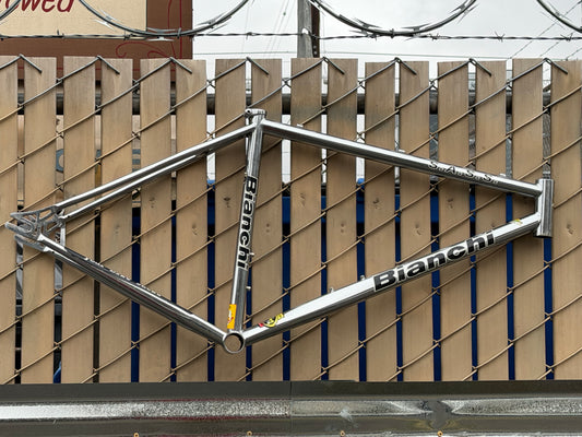 Bianchi S.A.S.S singlespeed frame 17.5' FRAME ONLY Used