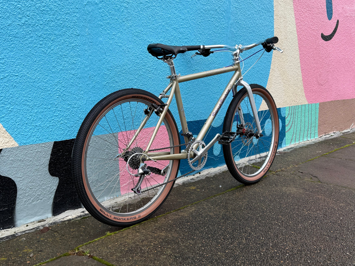 Specialized stumpjumper FS restomod bike custom refurbished 17” frame