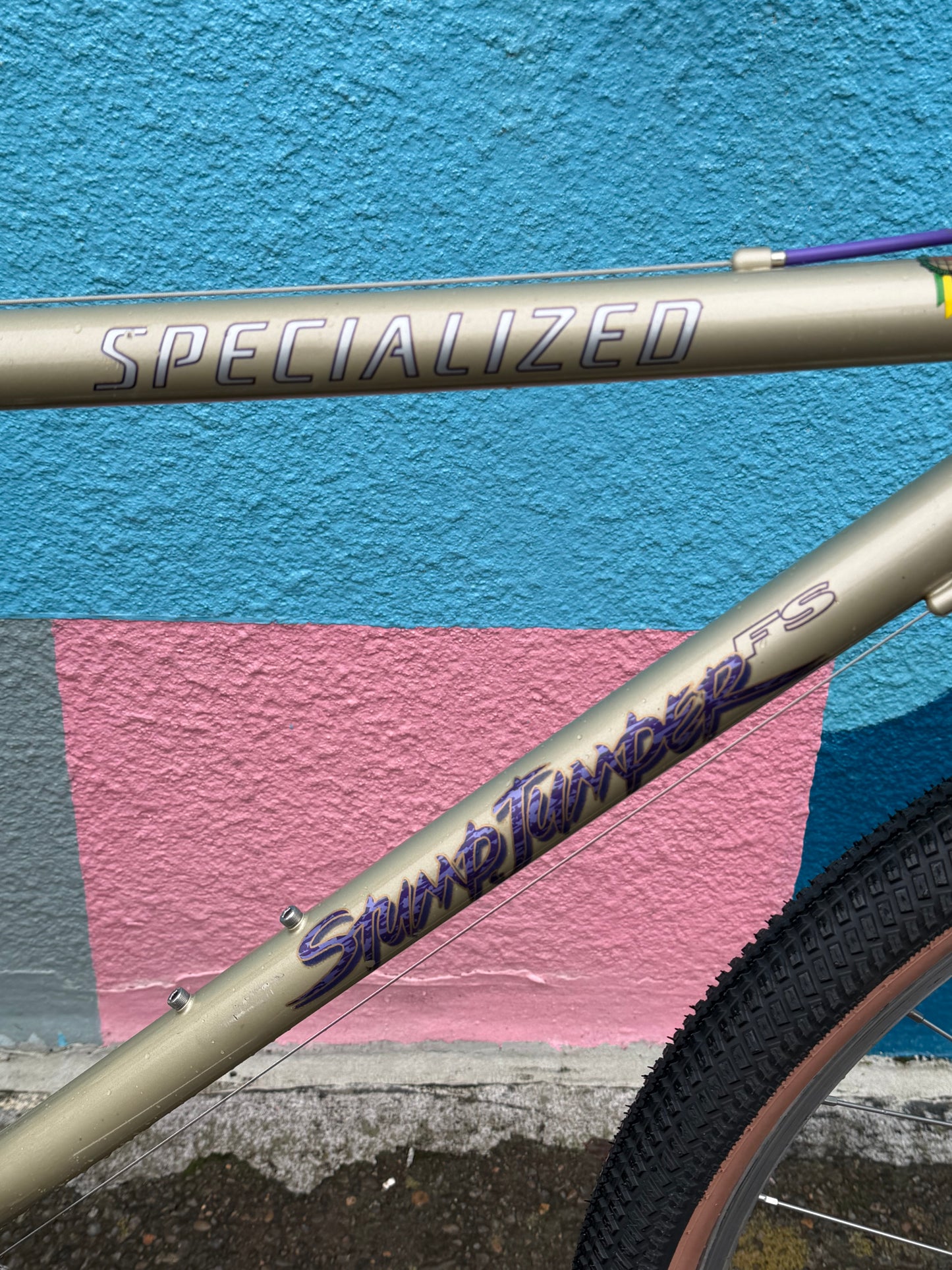 Specialized stumpjumper FS restomod bike custom refurbished 17” frame