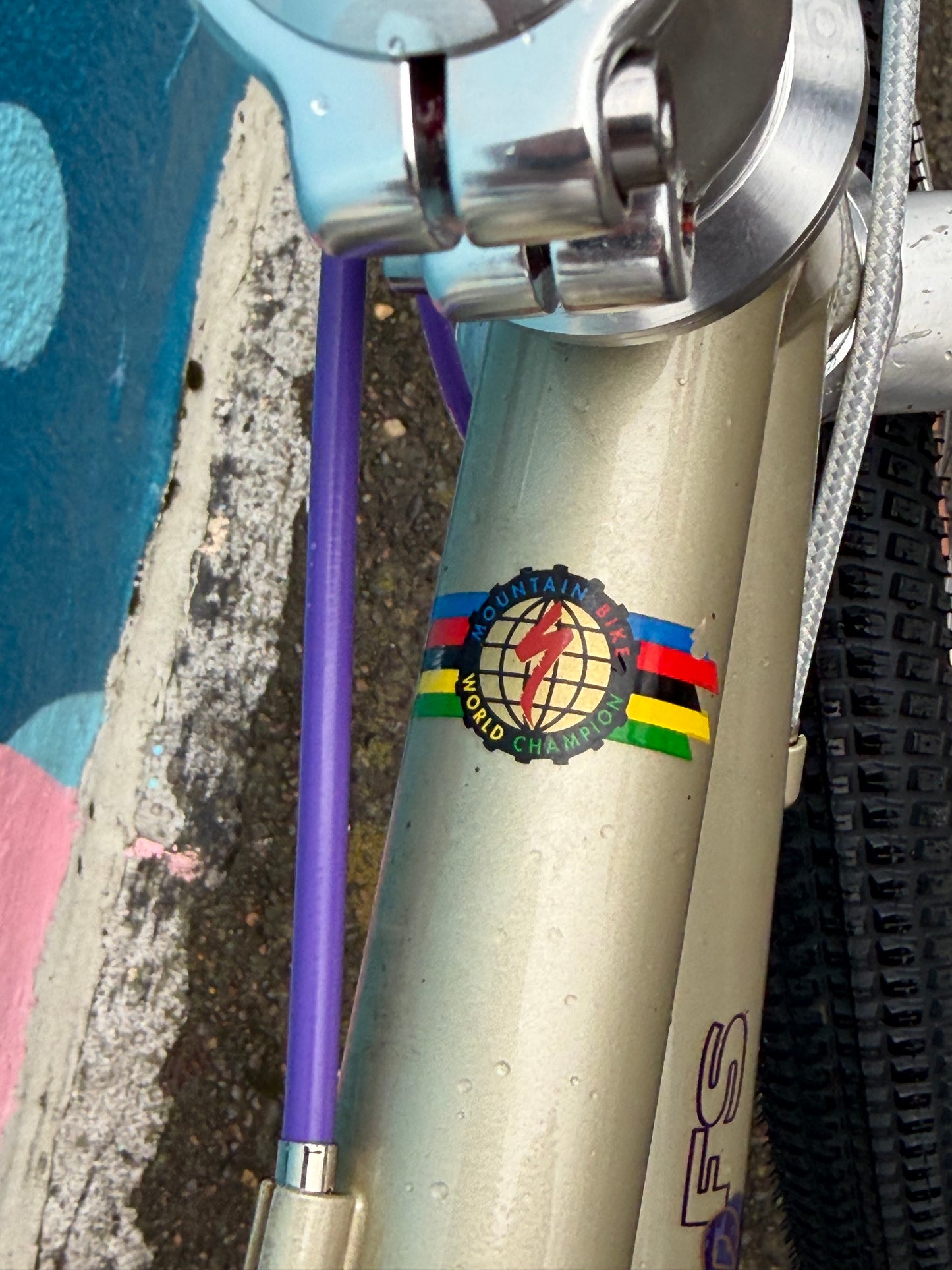 Specialized stumpjumper FS restomod bike custom refurbished 17” frame