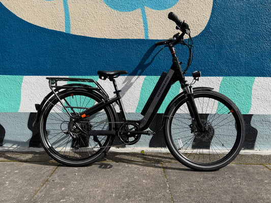 Radpower e-bikes RadCity5 electric assist bicycle custom refurbished