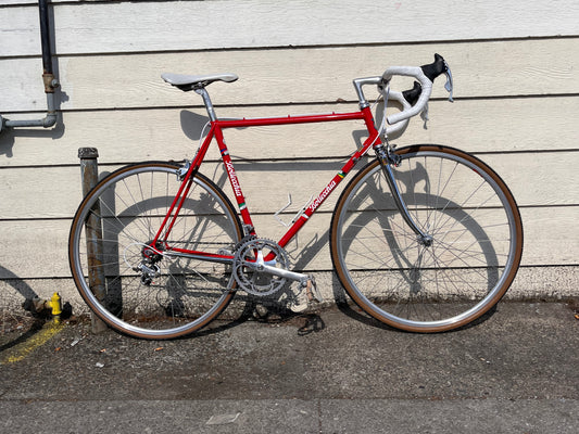 Botecchia vintage road bike 55cm Columbus SL frame 700c wheels campagnolo ergopower custom refurbished