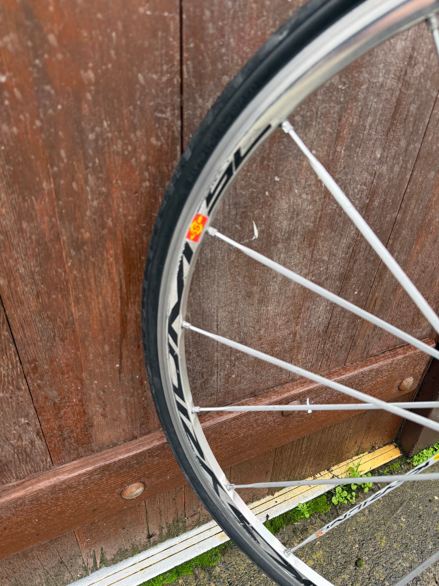 Miyata 912 vintage road bike singlespeed 58cm custom refurbished