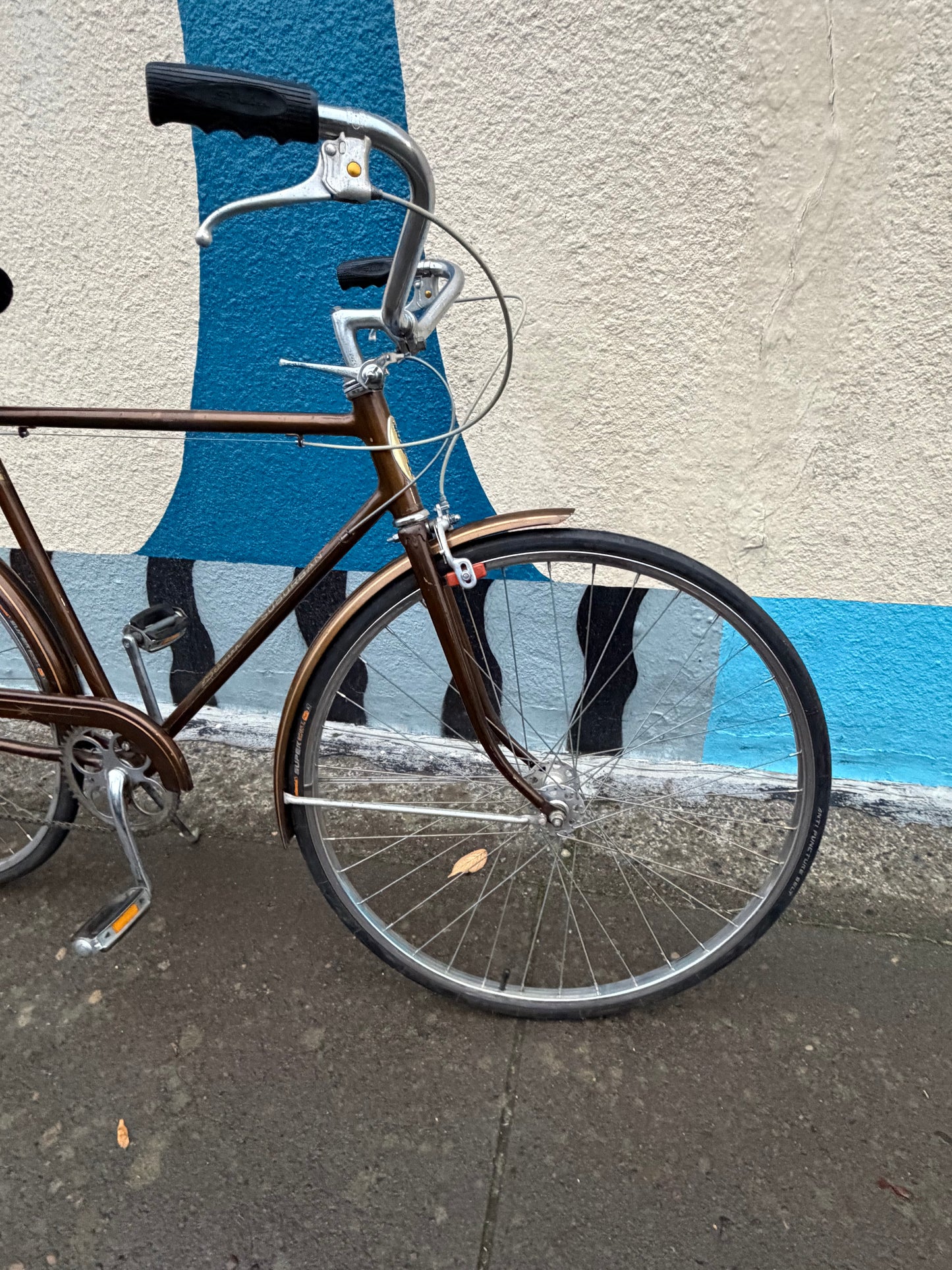 Schwinn Suburban bike 21” brown stallion