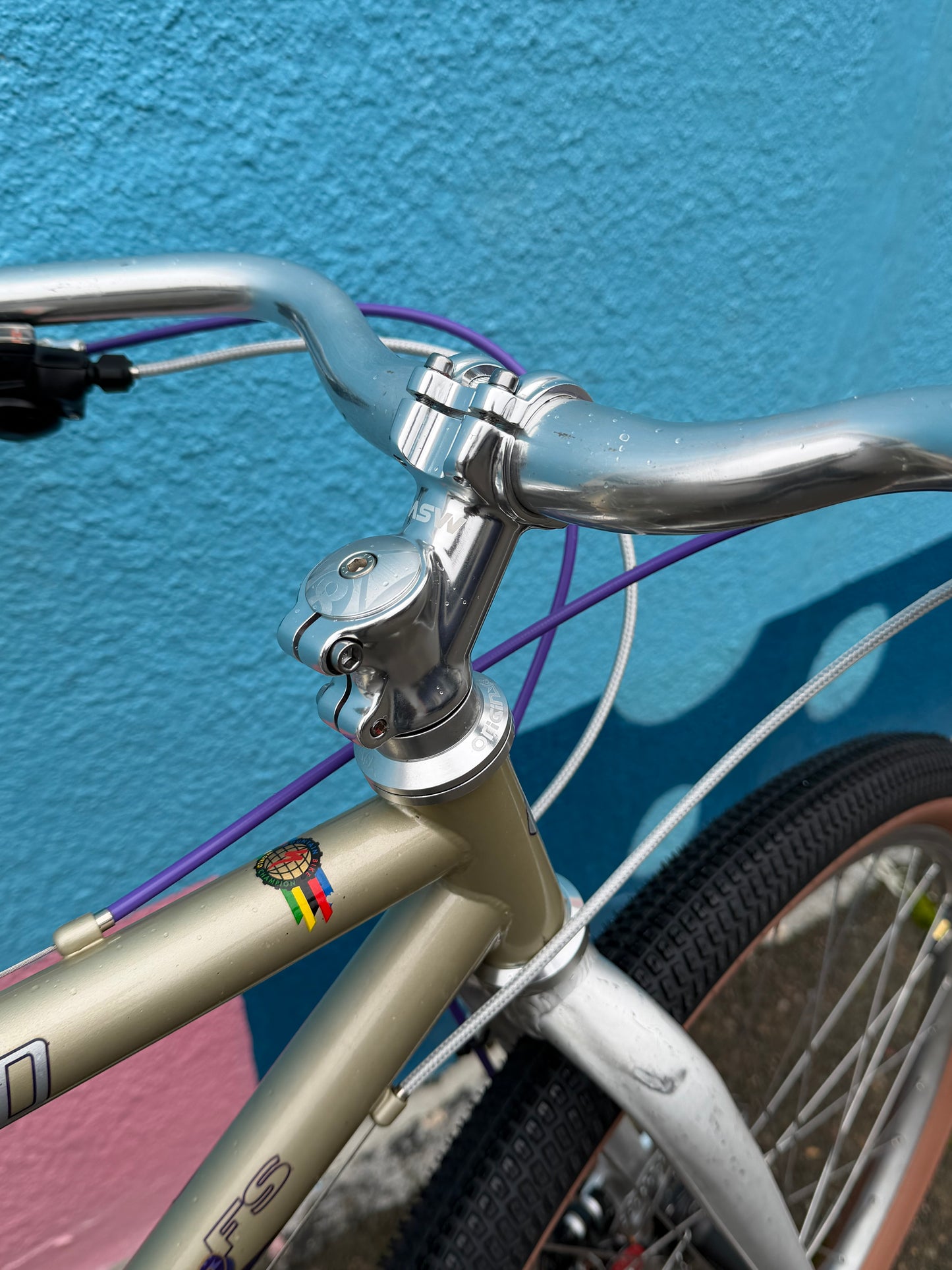 Specialized stumpjumper FS restomod bike custom refurbished 17” frame