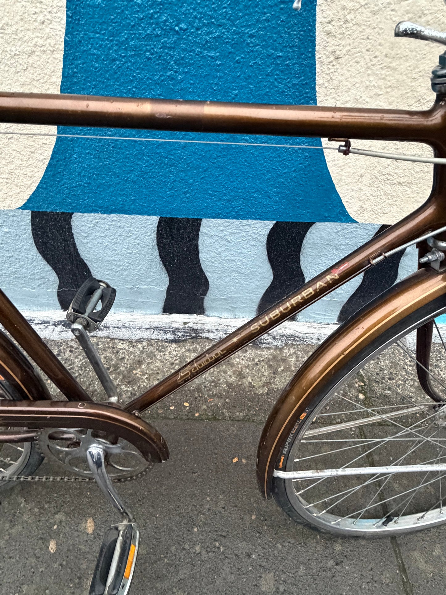 Schwinn Suburban bike 21” brown stallion