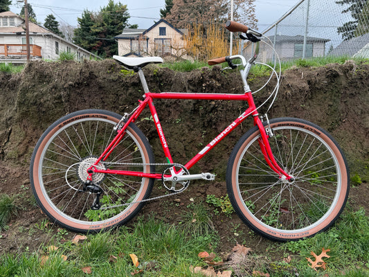 Bianchi Cervino vintage lugged steel ATB bike 19” frame 26” wheels custom refurbished