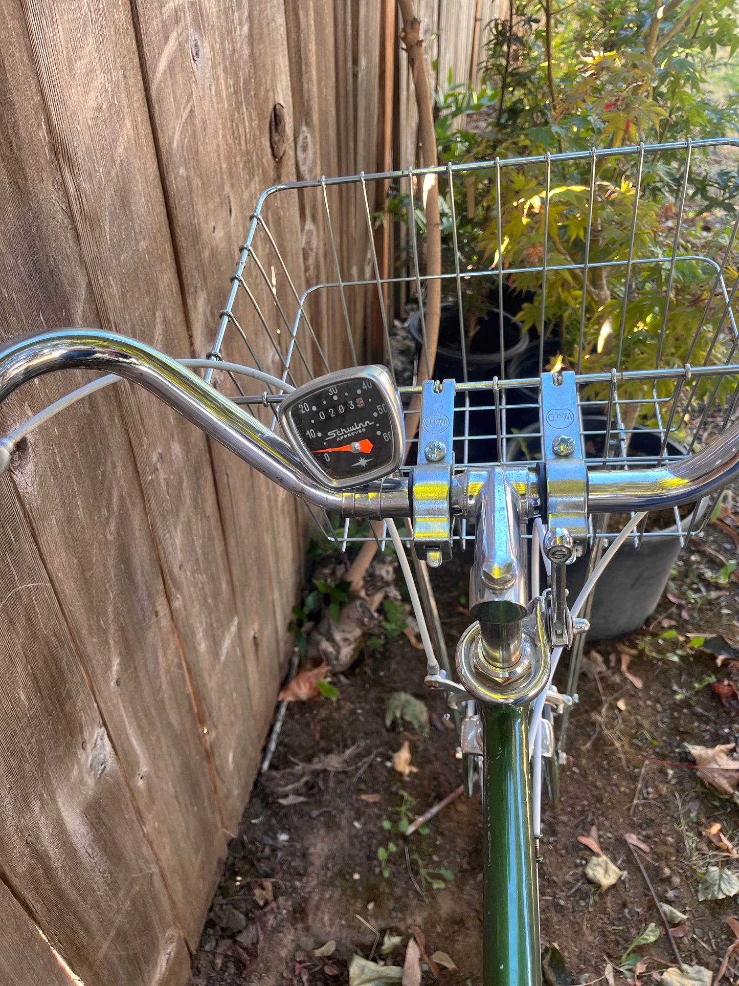 Schwinn collegiate 5 speed bike 21” frame vintage custom refurbished
