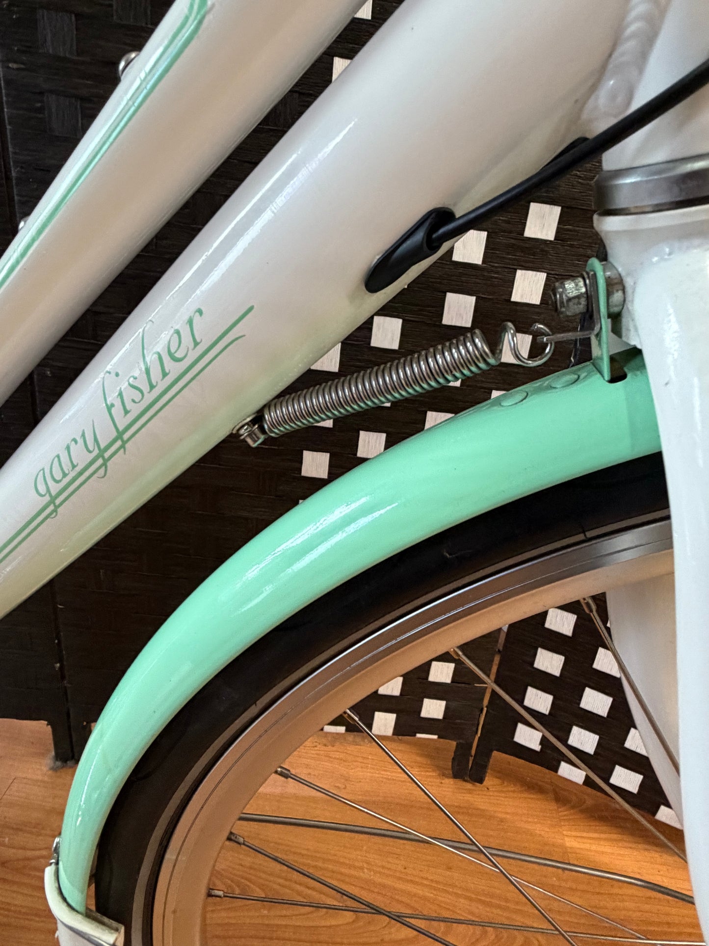 Gary Fisher Simple City Nexus 8 speed IGH 18.5" Step thru Frame Custom Refurbished