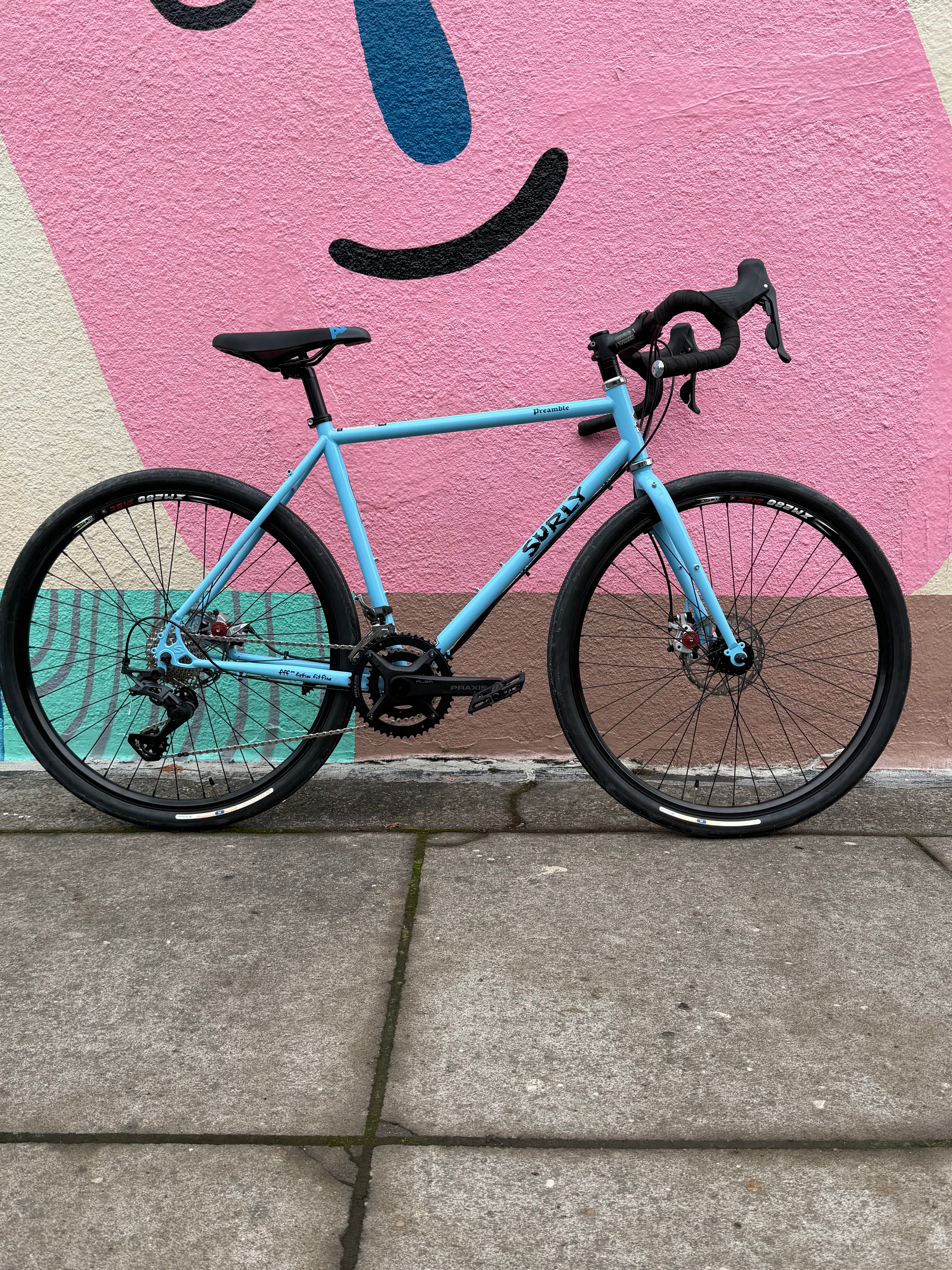 Surly Preamble frameset Custom Build – TomCat Bikes