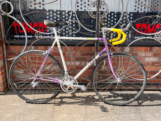Centurion Ironman Master triathlon bike Dave Scott signature 58cm frame 700c wheels shimano 600 2x7 custom refurbished