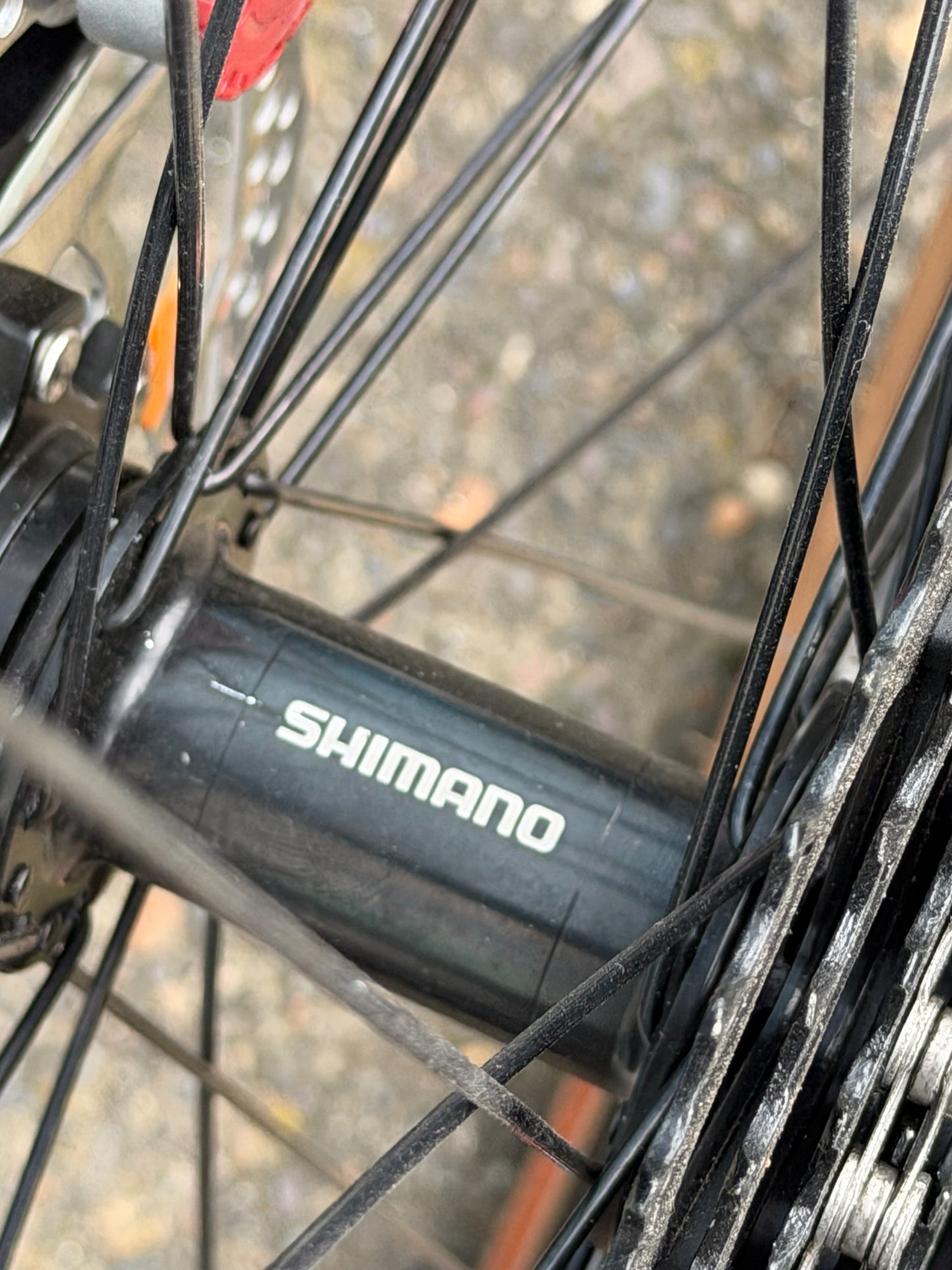 Custom Surly Preamble all road build: WTB, DT Size large. Best buds green. Cascara