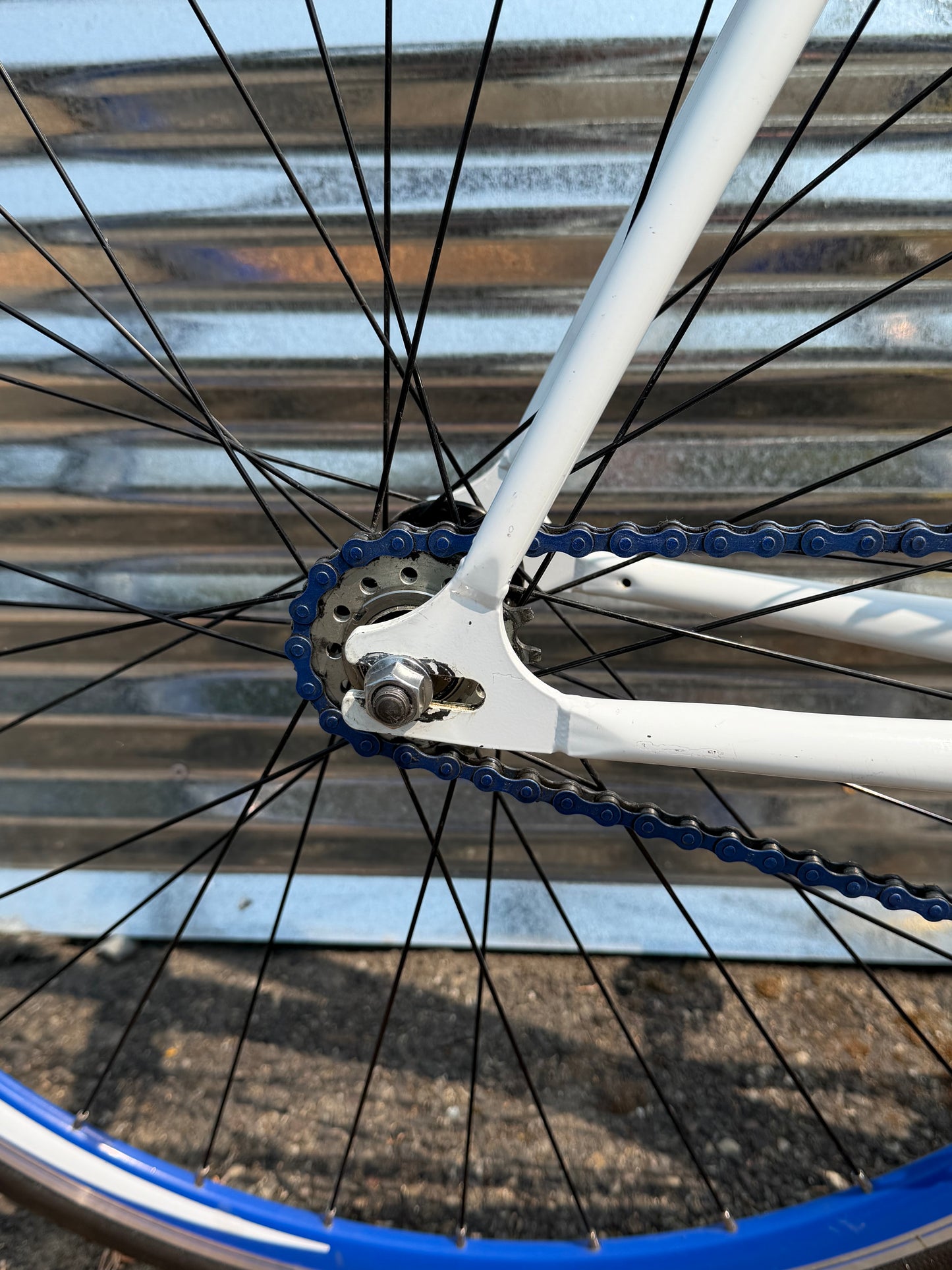 Pake fixed gear road bike 58cm white blue gold custom refurbished