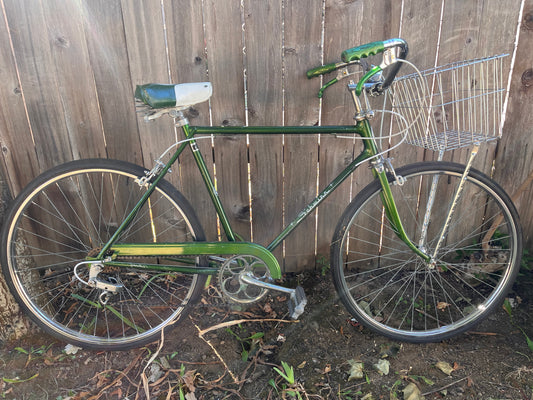 Schwinn collegiate 5 speed bike 21” frame vintage custom refurbished