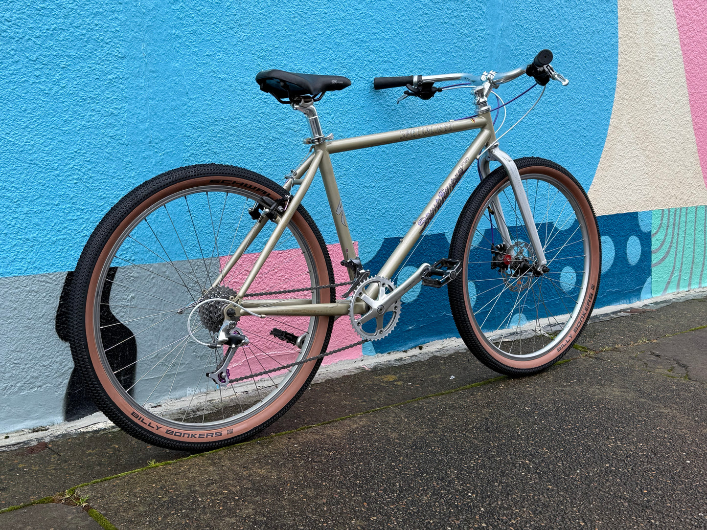 Specialized stumpjumper FS restomod bike custom refurbished 17” frame