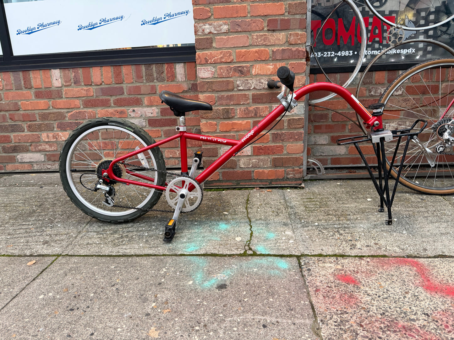 Burley Piccolo trail a bike w rack