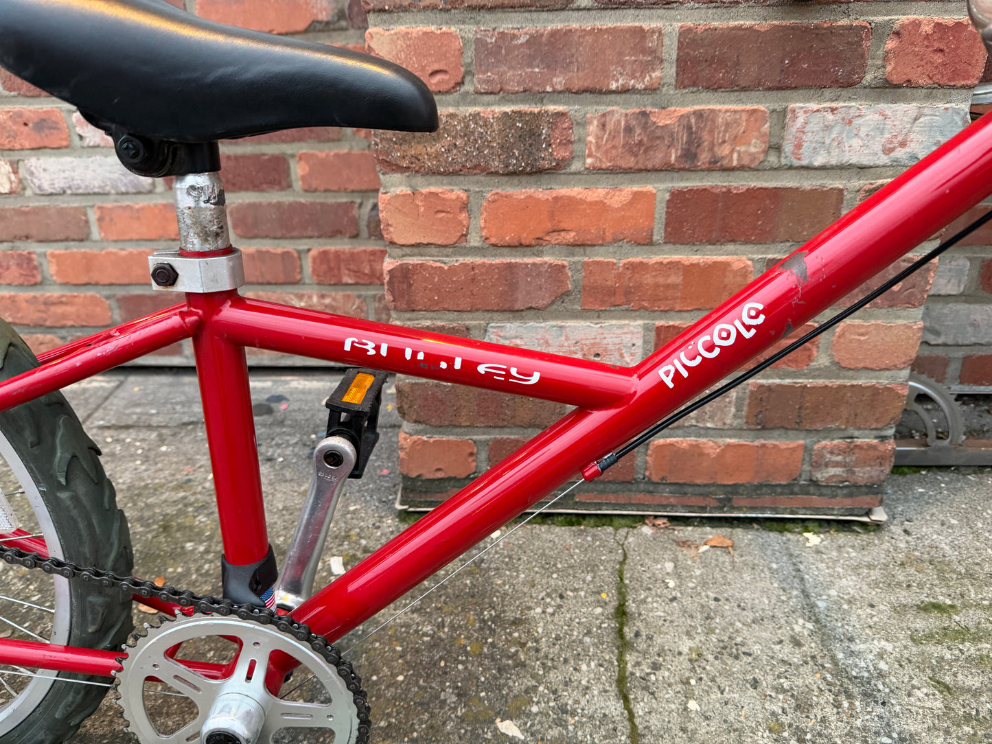 Burley Piccolo trail a bike w rack