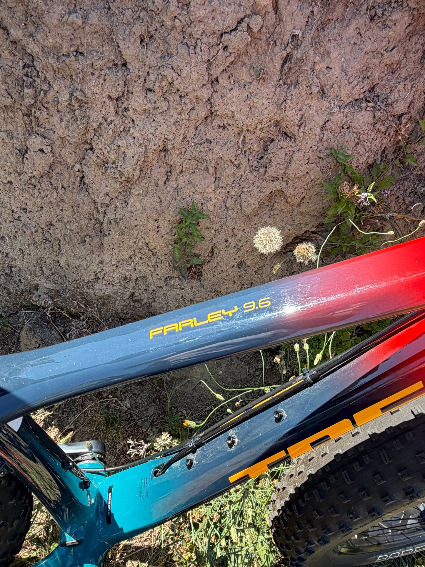 Trek Farley 9.6 Carbon fatbike SRAM Eagle 1x12 size small red blue teal fade MY2022