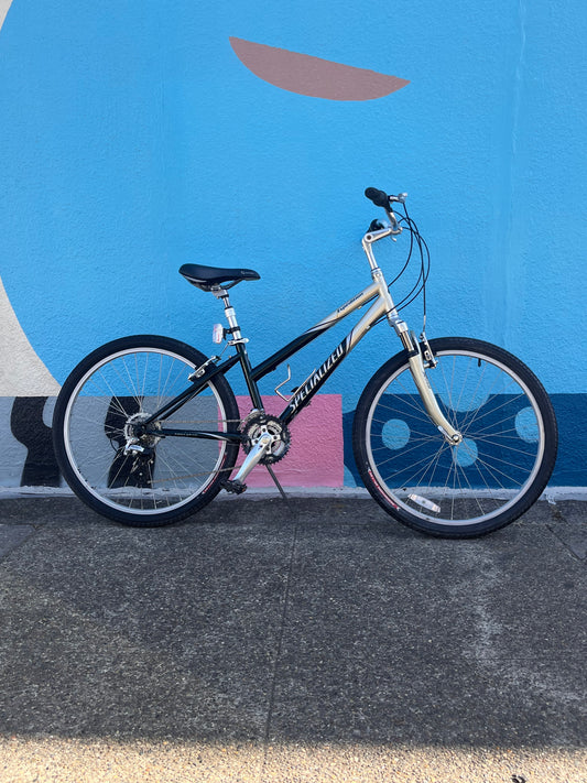 Specialized expedition step thru hybrid bike 14” small frame custom refurbished