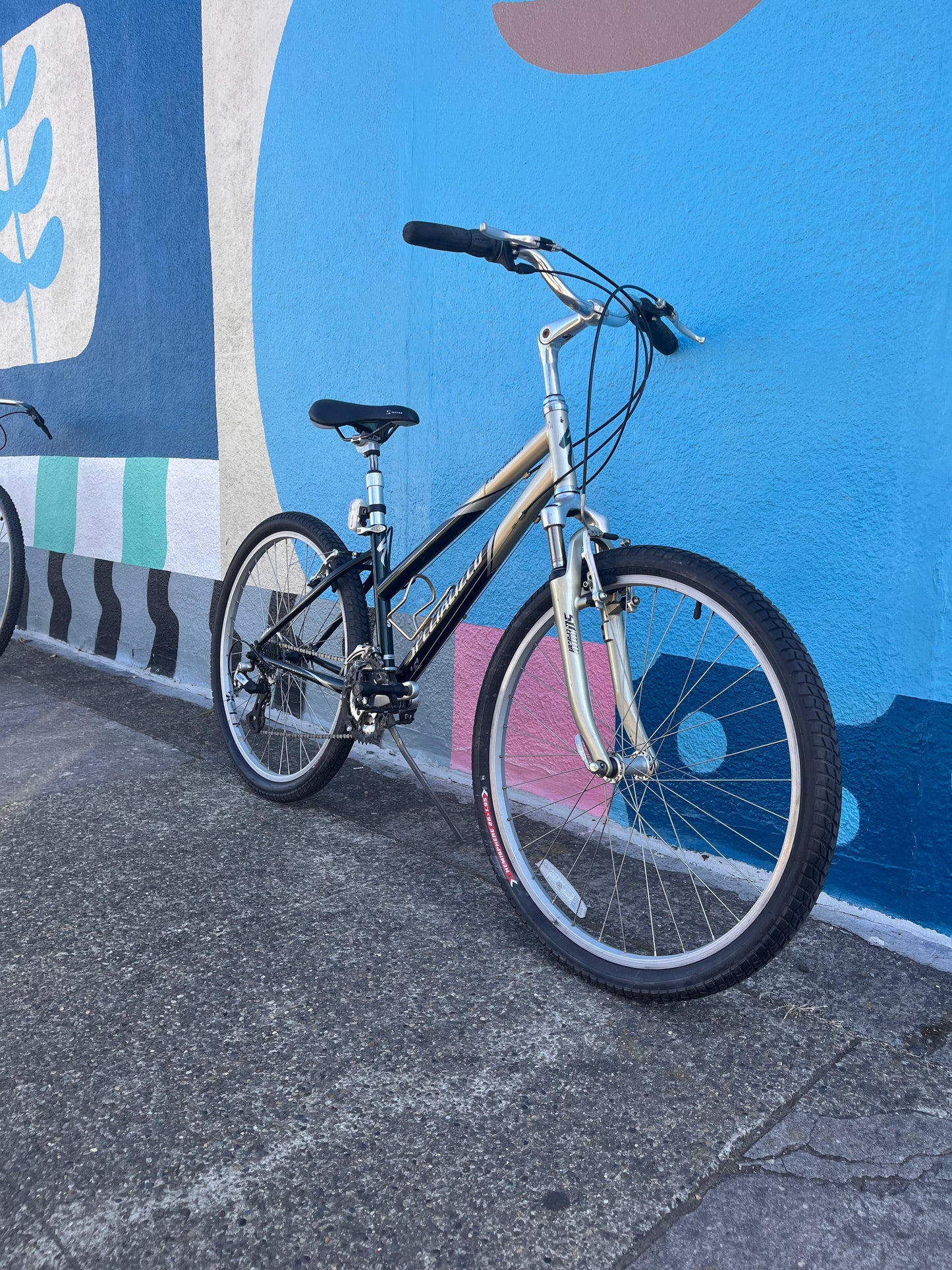 Specialized expedition step thru hybrid bike 14” small frame custom refurbished