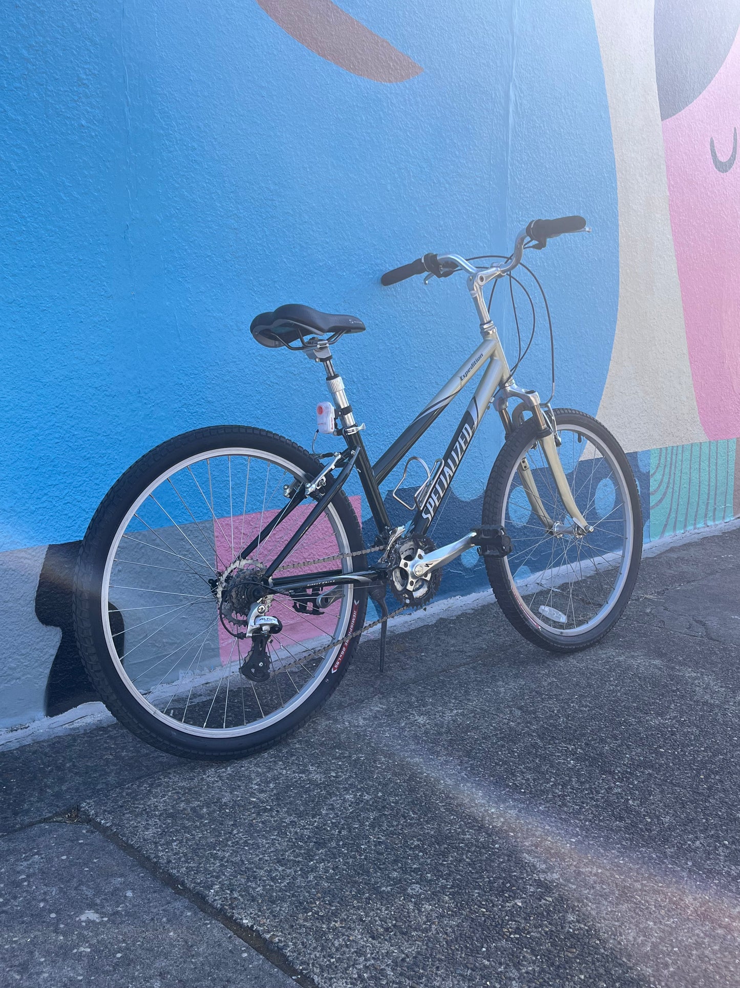 Specialized expedition step thru hybrid bike 14” small frame custom refurbished