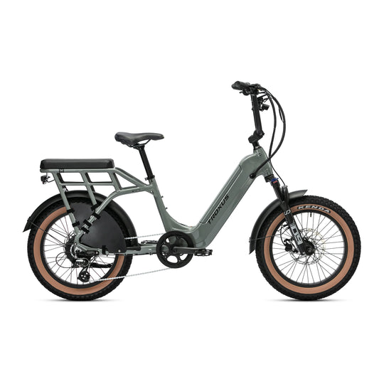 Troxus Lynx 2-Up Passenger Cargo e-Bike Class 2 PCEF