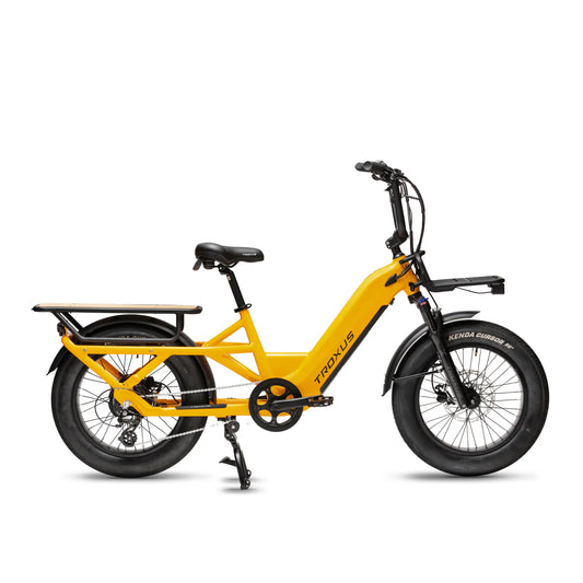 Troxus Lynx Cargo e-bike Class 2 PCEF