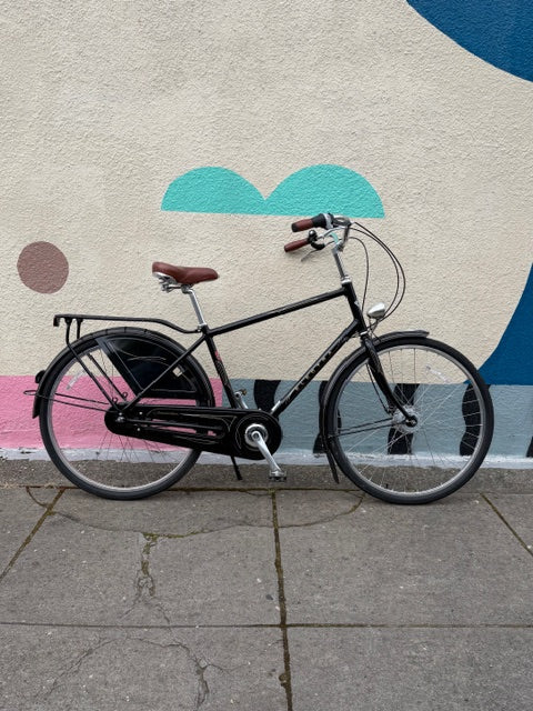 Electra Amsterdam Deluxe bike 8 speed dynamo hub step over custom refurbished