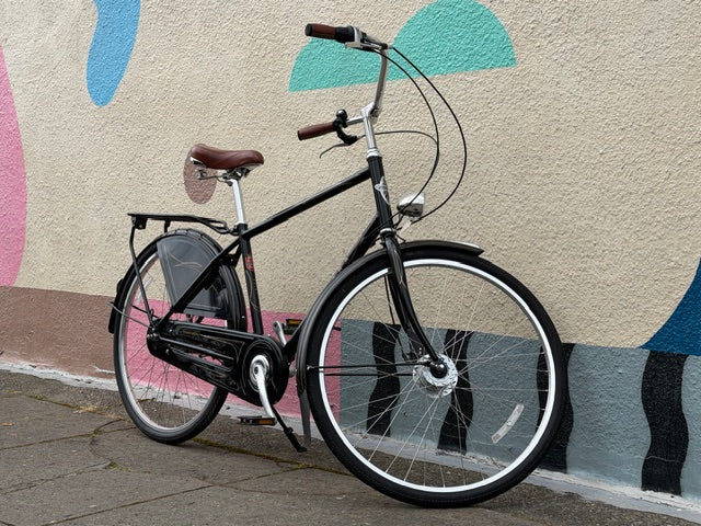 Electra Amsterdam Deluxe bike 8 speed dynamo hub step over custom refurbished