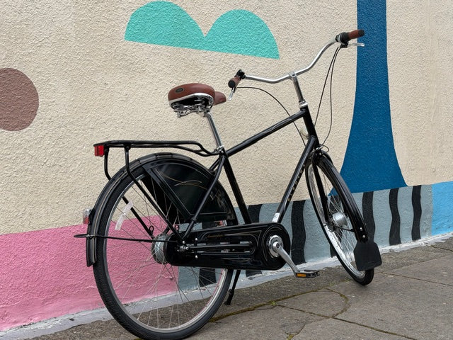 electra deluxe bicycle Electra Amsterdam Deluxe bike 8 speed dynamo hub step over custom refu – TomCat Bikes