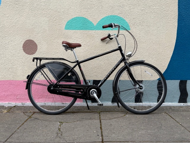 Electra Amsterdam Deluxe bike 8 speed dynamo hub step over custom refurbished